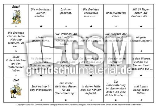 Lesedomino-Honigbienen-4.pdf